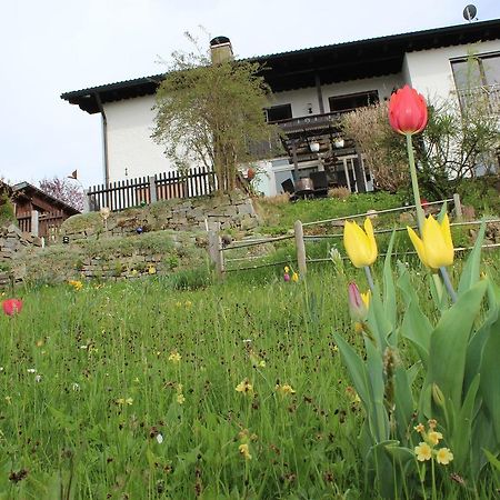 Haus Koblizek Lejlighed Waldkirchen Eksteriør billede